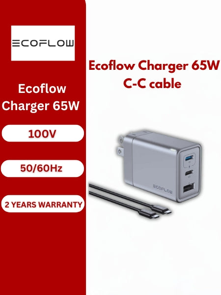 Ecoflow Charger 65W (With a C-C cable)