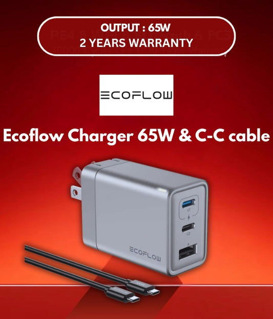 Ecoflow Charger 65W (With a C-C cable)