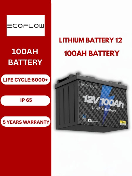 EcoFlow Lithium 12V 100Ah Battery